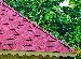 LOG CABINS: SINGLE GLAZED LOG CABINS and DOUBLE GLAZED LOG CABINS - Straight or scalloped fascias